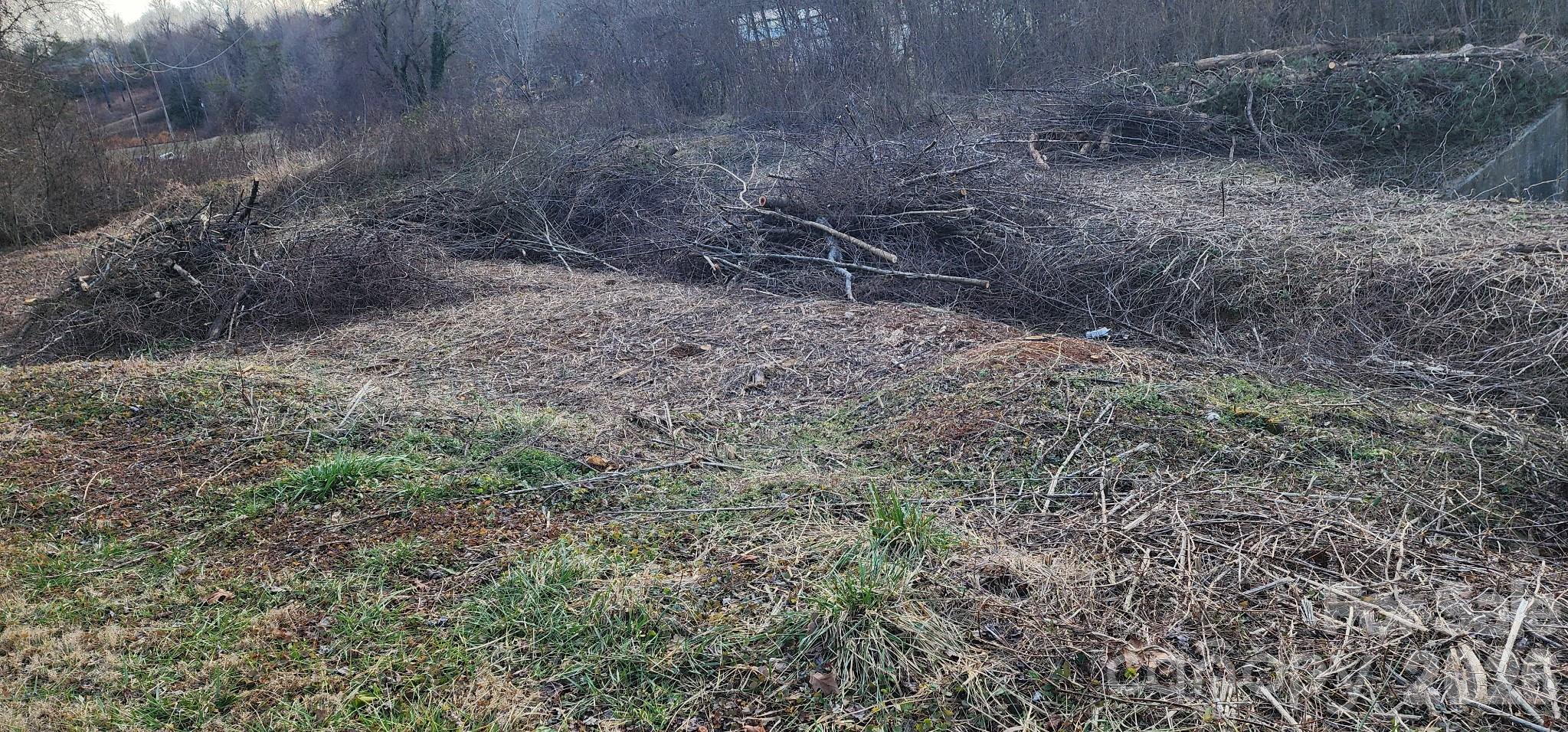 1142 Hidden View Loop Marion, NC 28752 - Photo 13 of 16 a view of a dry field with trees