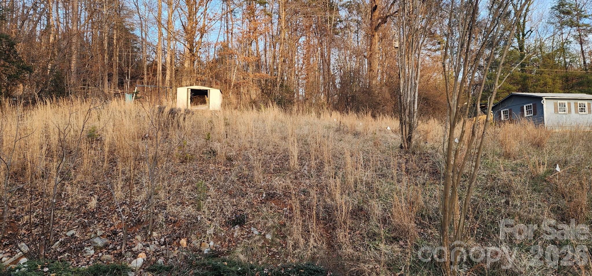 1142 Hidden View Loop Marion, NC 28752 - Photo 2 of 16 a view of house with tall trees