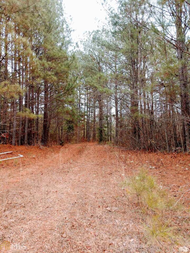 0 Howell Road, Unit TRACT D Zebulon, GA 30295 - Photo 1 of 1