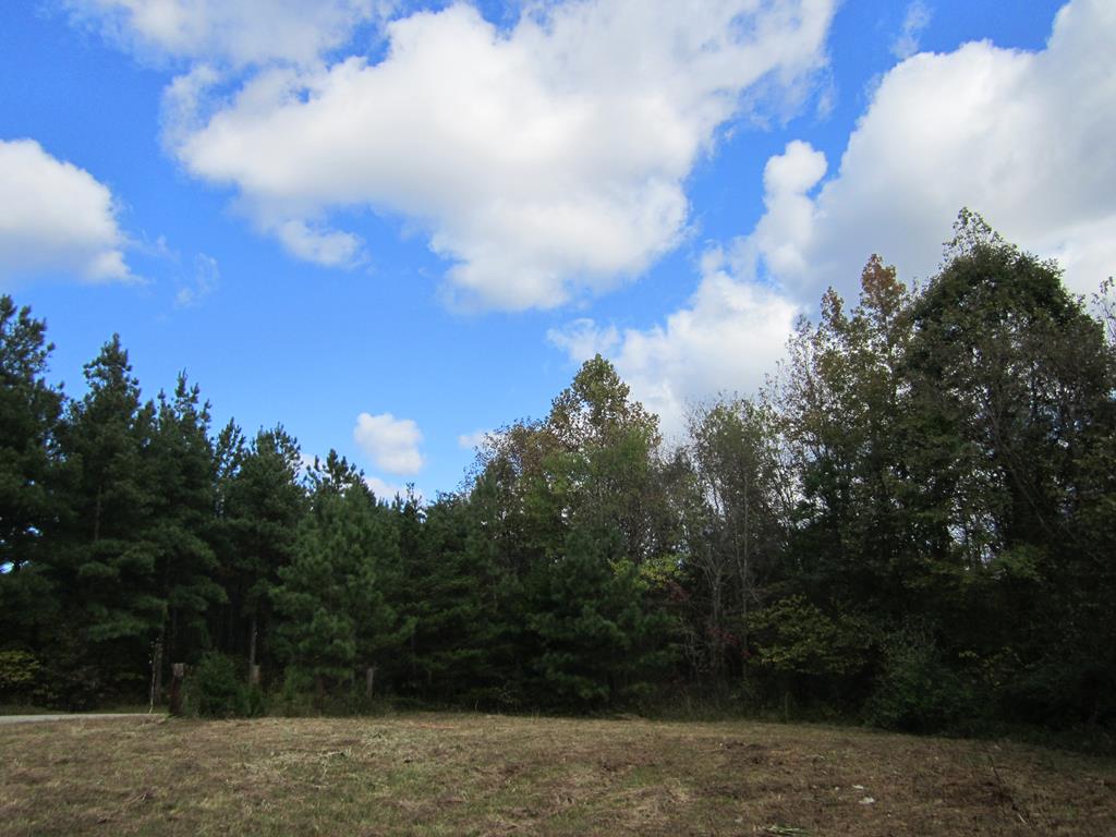 613 Petersville Road, Unit 3 New Canton, VA 23123 - Photo 1 of 1 Gallery Image 1