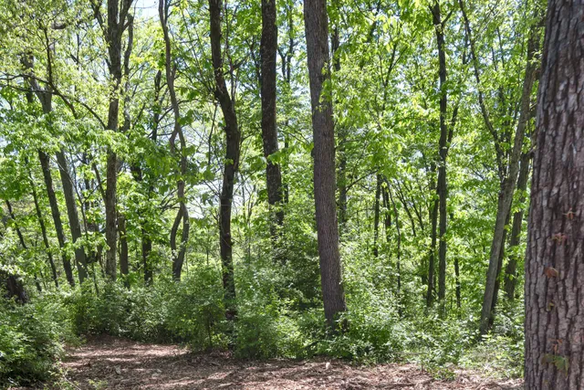 $4,999,995 | 663 Hunters Trail, Nashville, TN 37209