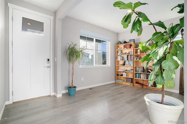 a living room with furniture and a potted plant