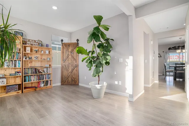 a view of empty room with wooden floor and plant