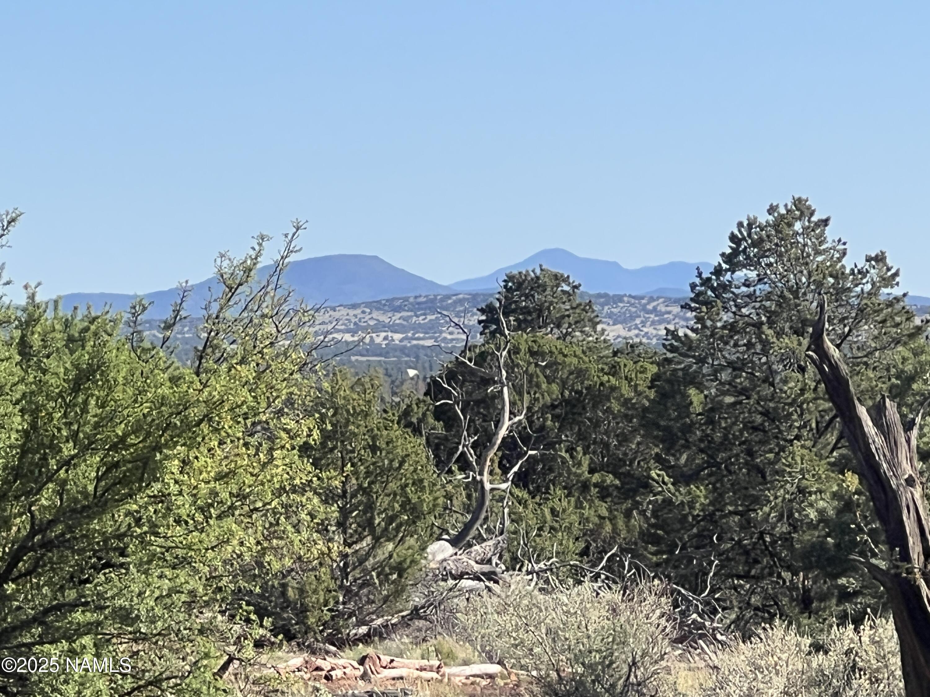8801 South Rim Ranch Road Williams, AZ 86046 - Photo 6 of 10 a view of a yard