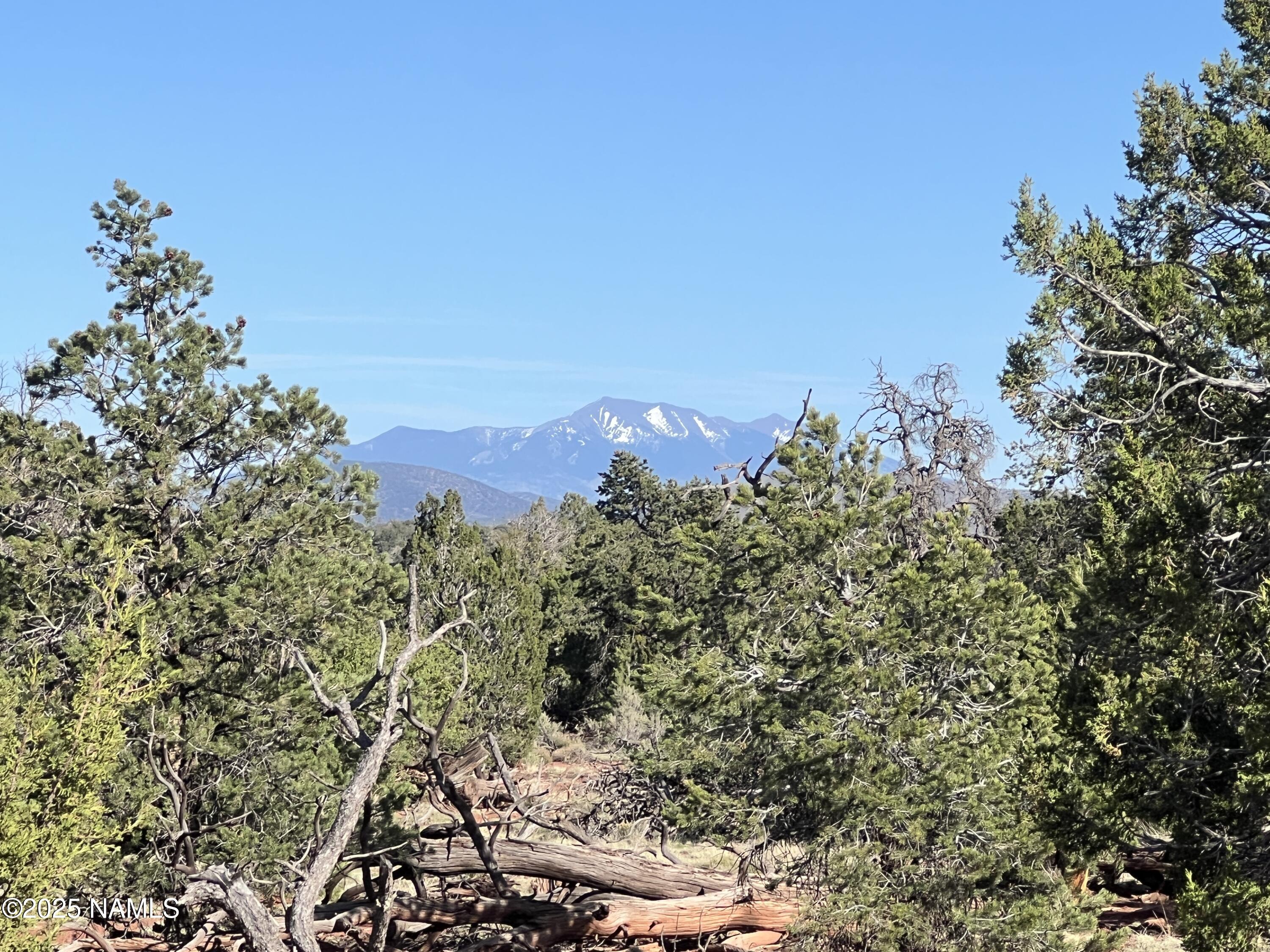 8801 South Rim Ranch Road Williams, AZ 86046 - Photo 8 of 10 a view of a city with a mountain in the background