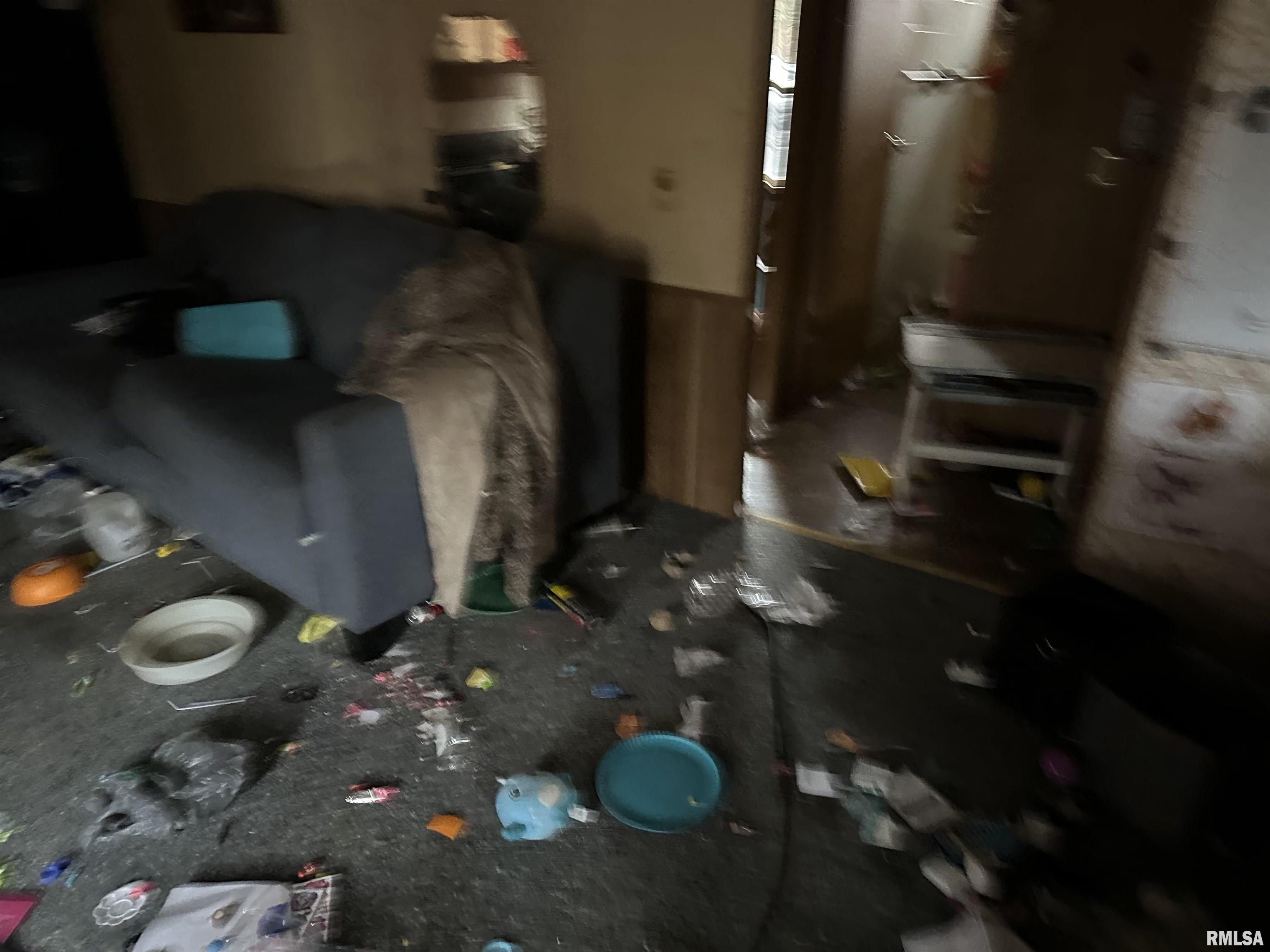 802 Spates Street Jacksonville, IL 62650 - Photo 9 of 10