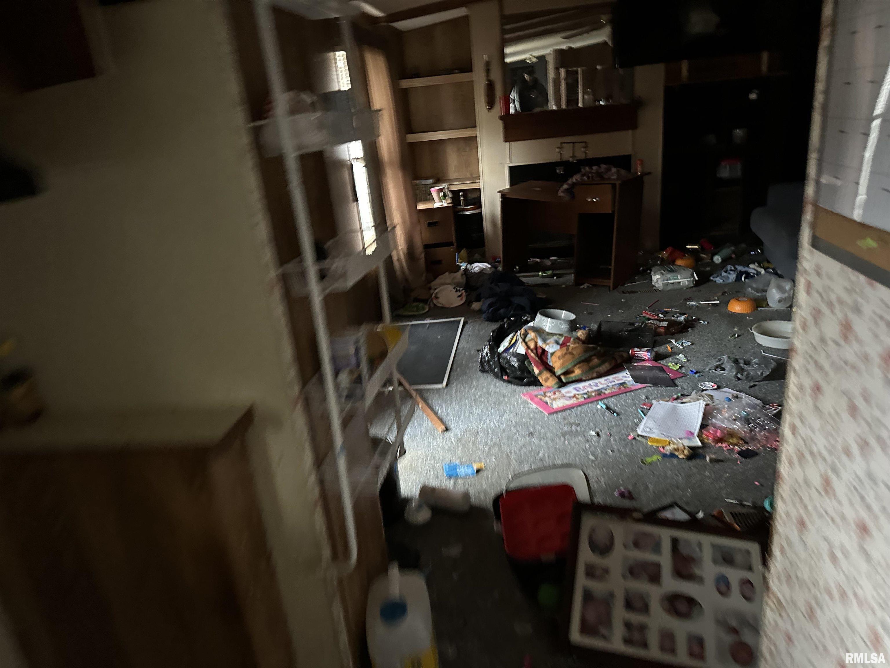 802 Spates Street Jacksonville, IL 62650 - Photo 10 of 10