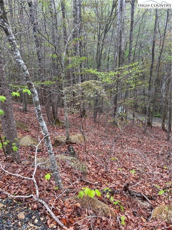 134 Arrowhead Road Beech Mountain, NC 28604 - Photo 6 of 8 a backyard of a house with lots of green space