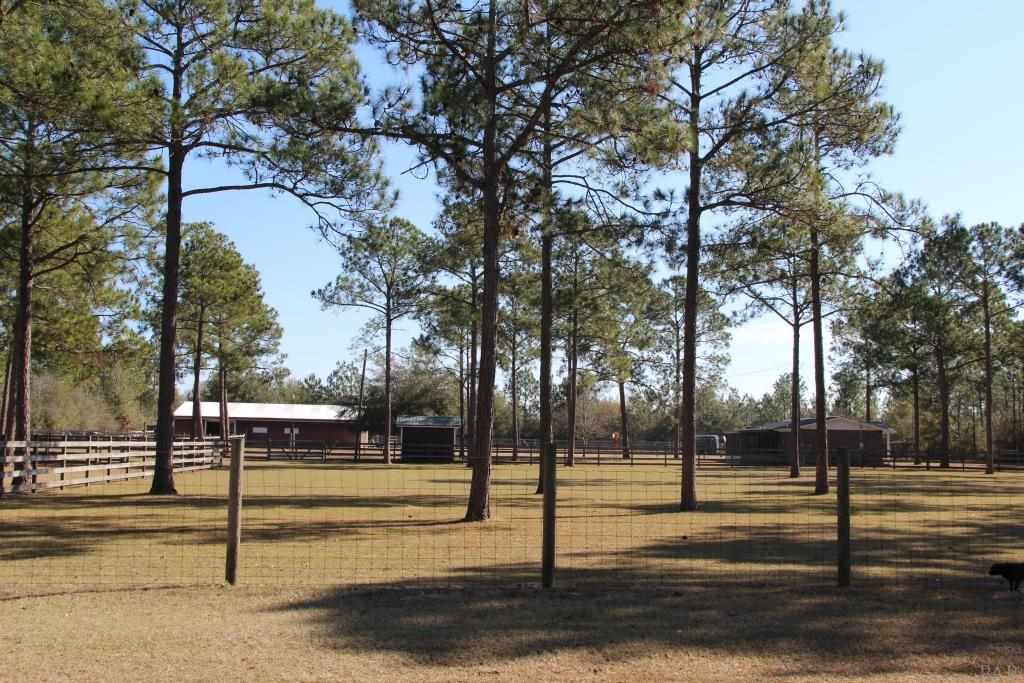 6124 Riverchase Road Milton, FL 32583 - Photo 1 of 49 Equestrian Property