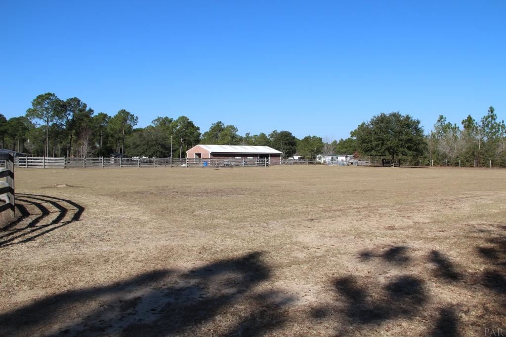 6124 Riverchase Road Milton, FL 32583 - Photo 25 of 49 View from Back of Property