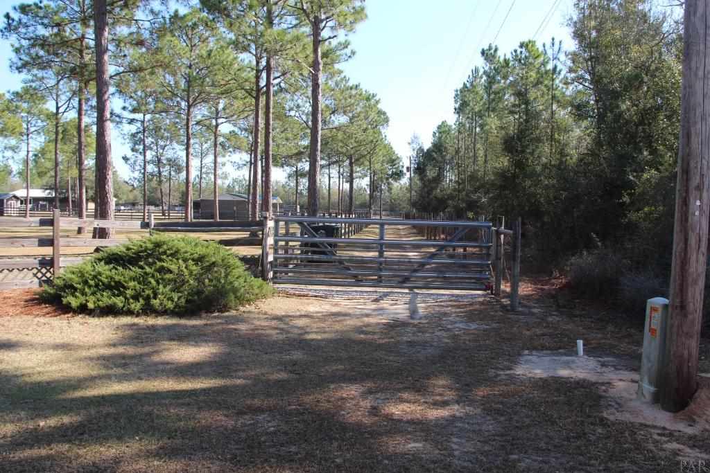 6124 Riverchase Road Milton, FL 32583 - Photo 40 of 49 Drive in For Horse Trailer