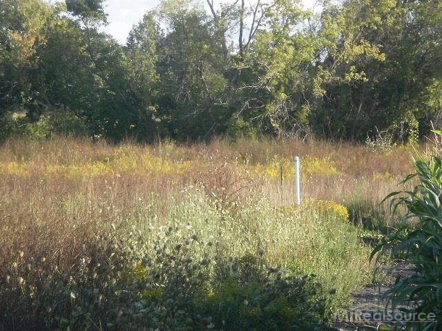 0 Metcalf Road Capac, MI 48014 - Photo 11 of 14
