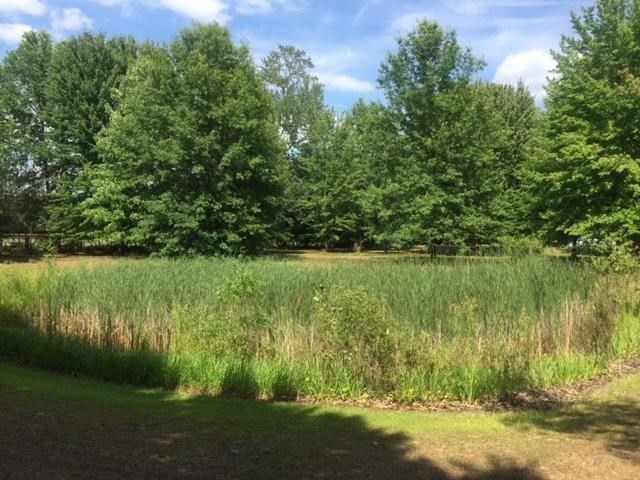 13260 Nichols Road Burt, MI 48417 - Photo 7 of 15 Pond