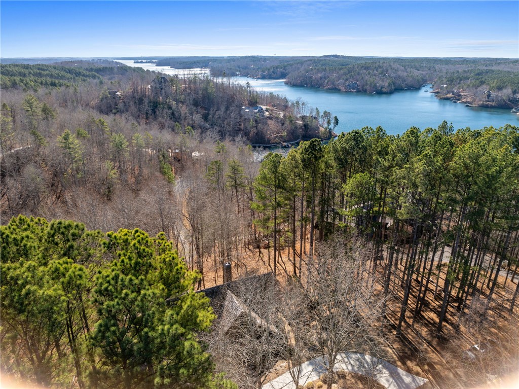 811 Top Ridge Drive Sunset, SC 29685 - Photo 39 of 48