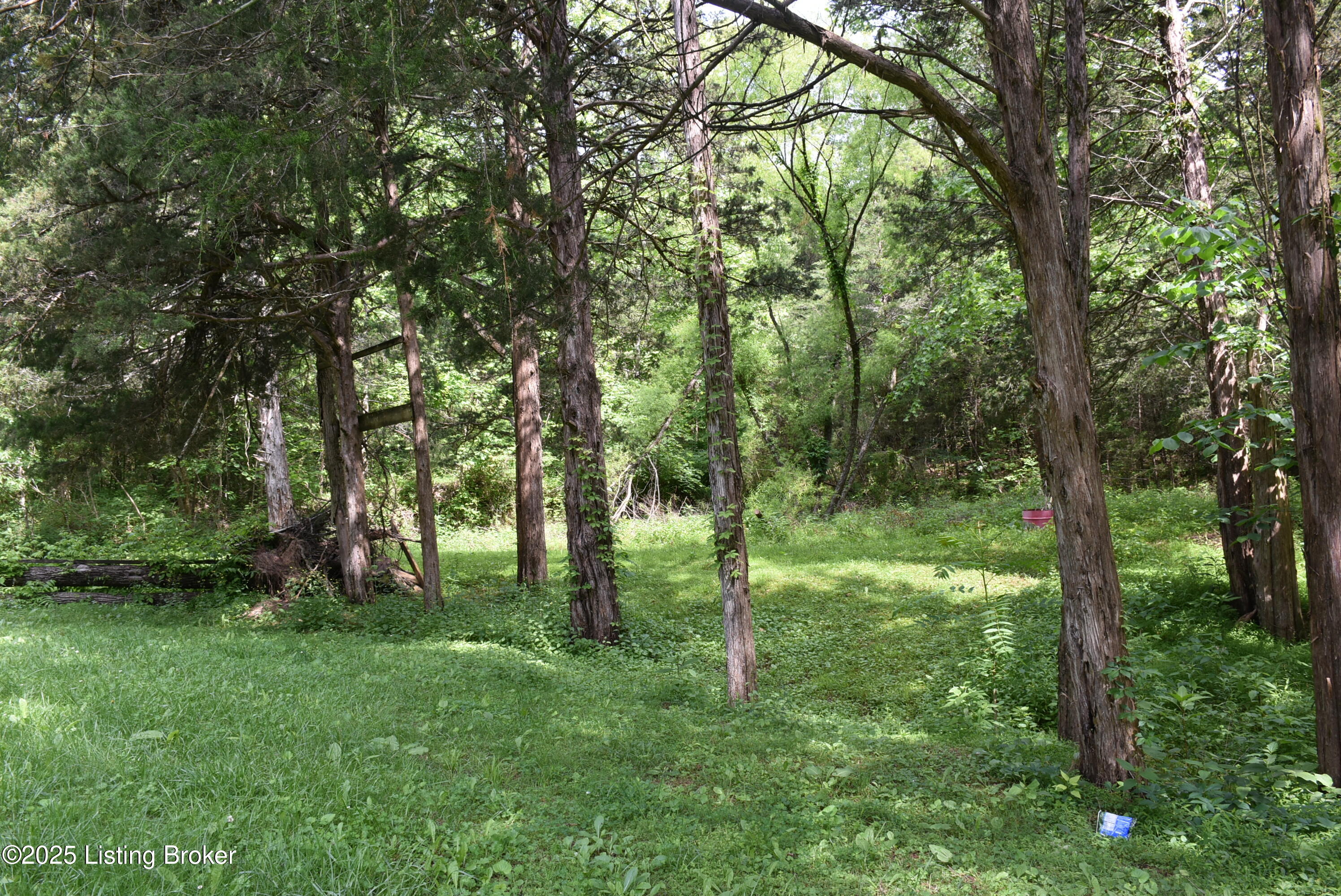 3015 Chestnut Grove Road Columbia, KY 42728 - Photo 14 of 37 DSC_9205