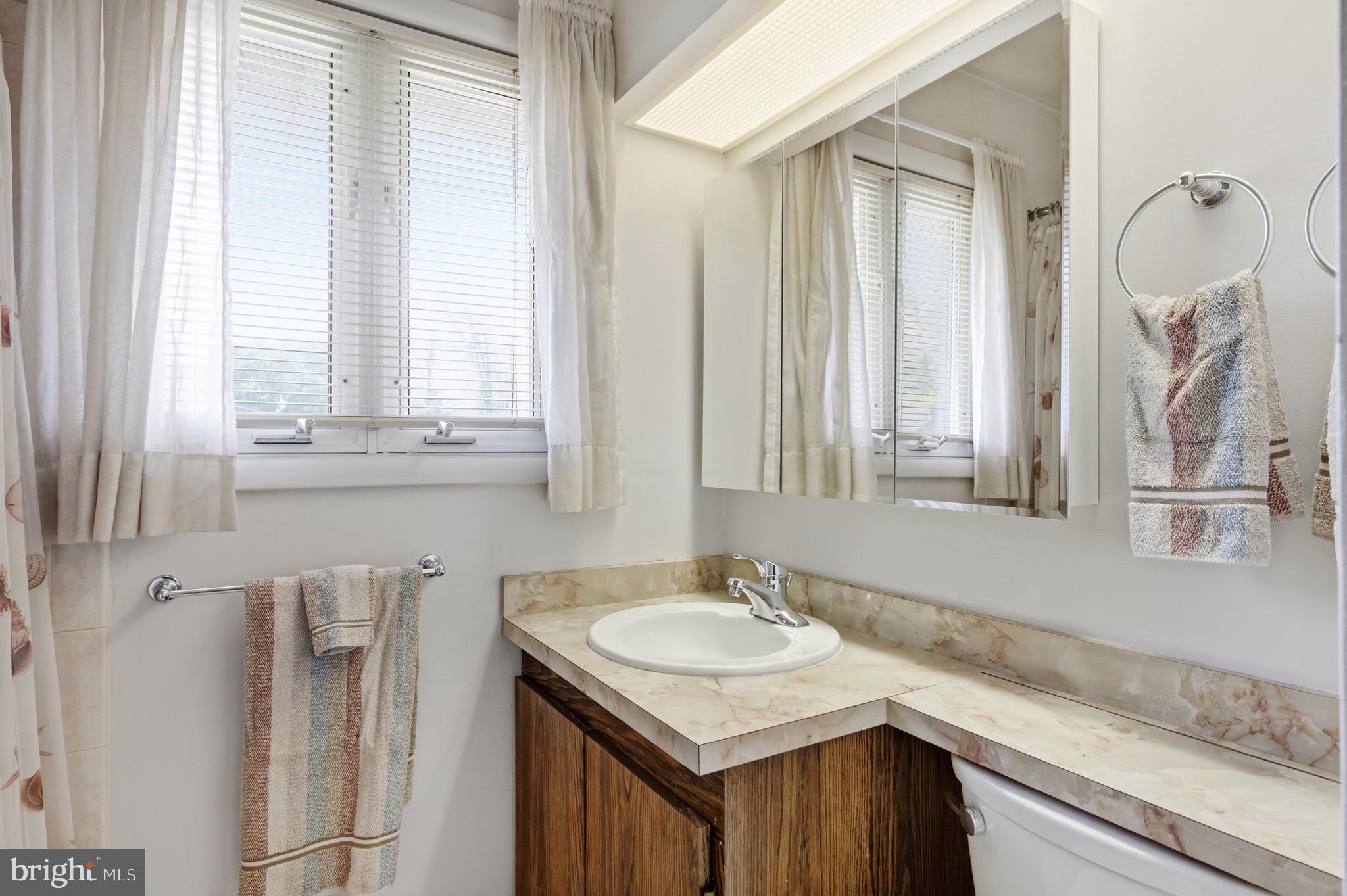 6820 Constance Drive Springfield, VA 22150 - Photo 34 of 46 Full Bath