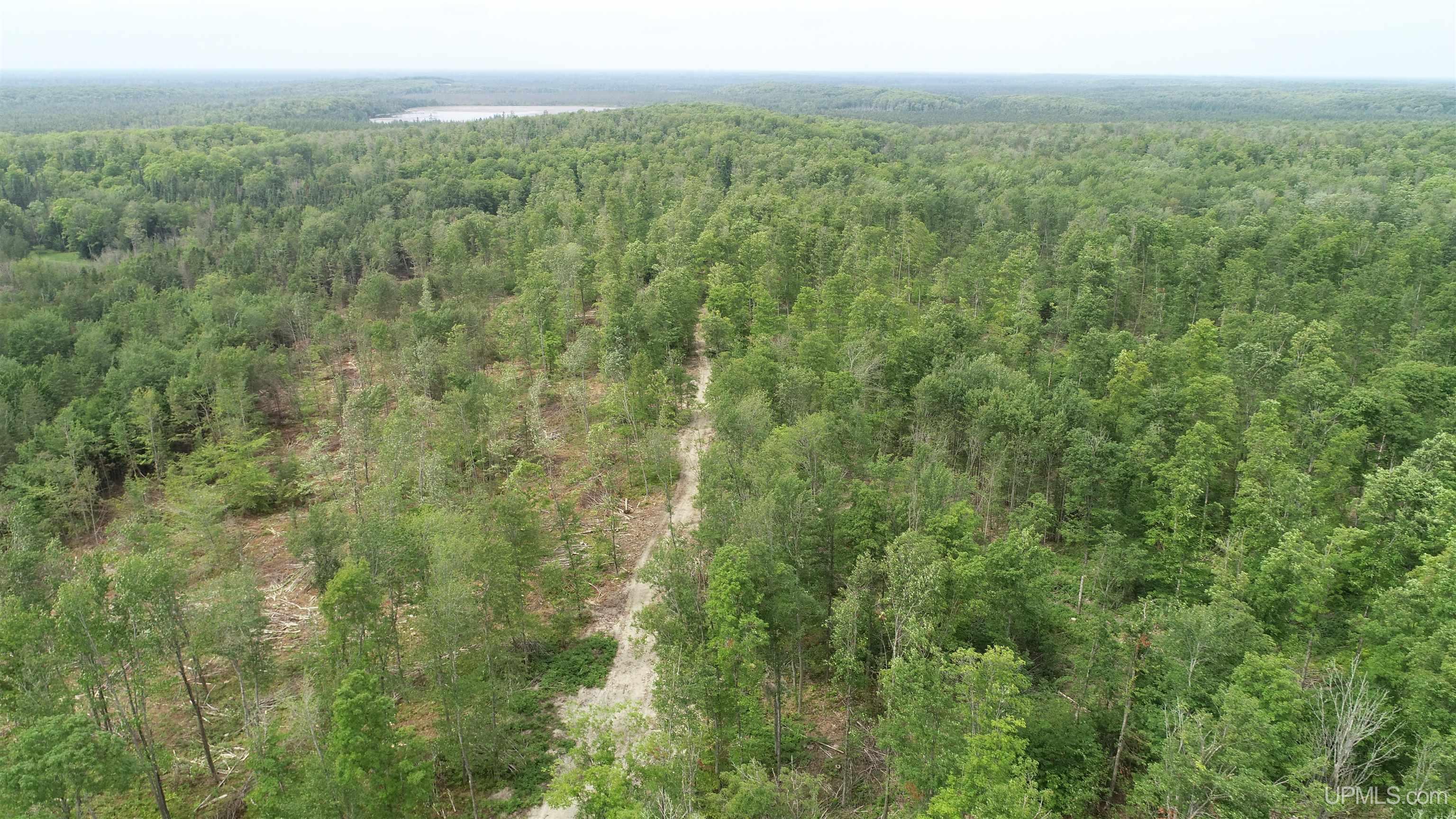 23 Camp 23 Road, Unit NORTH PARCEL Germfask, MI 49836 - Photo 8 of 10