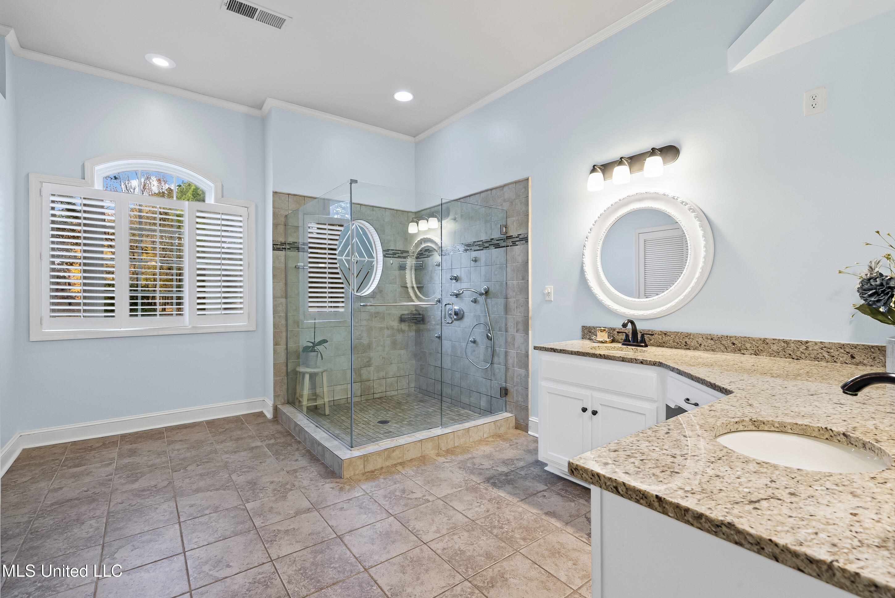 420 Buck Cove Hernando, MS 38632 - Photo 18 of 38 Primary Bathroom