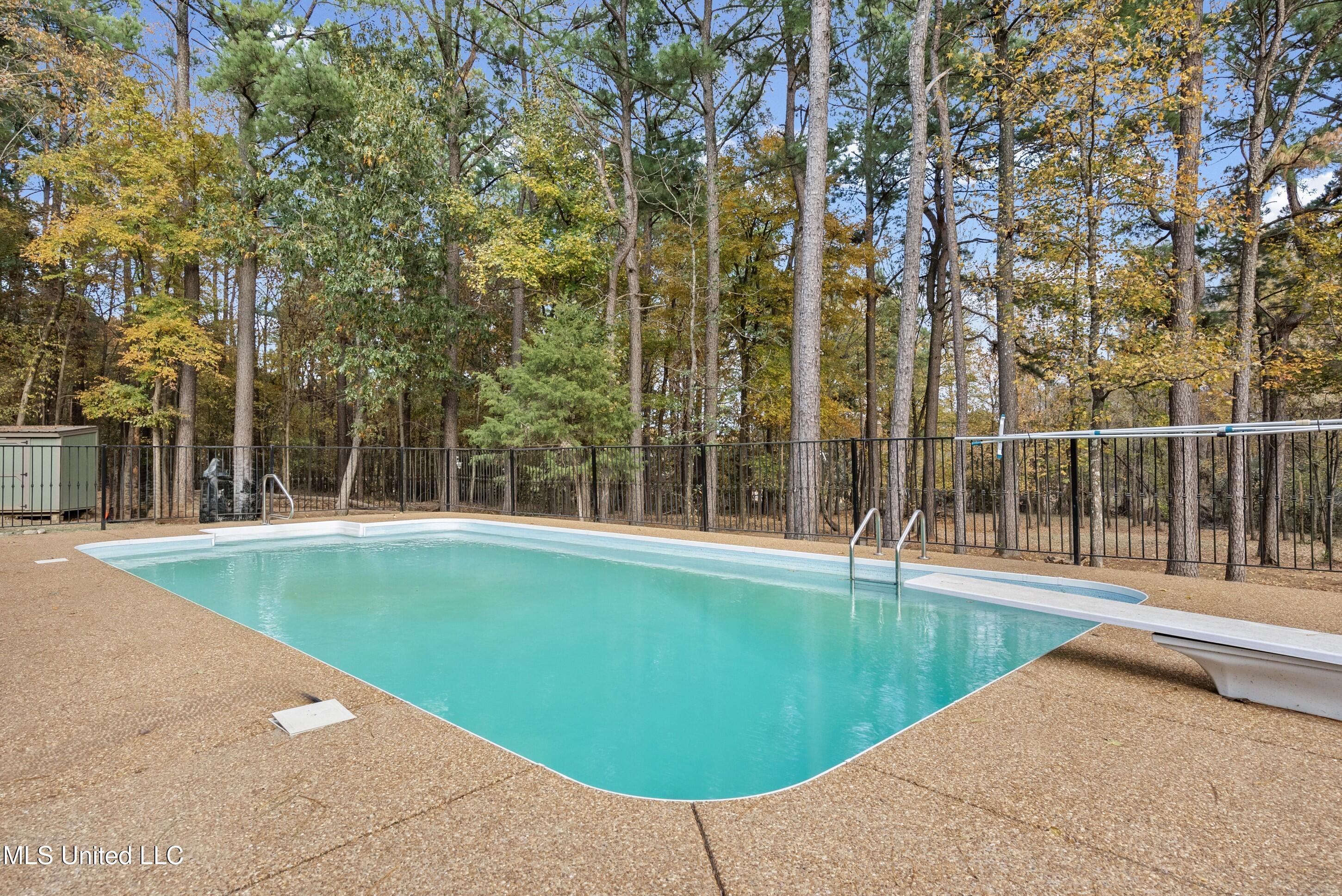 420 Buck Cove Hernando, MS 38632 - Photo 30 of 38 Pool