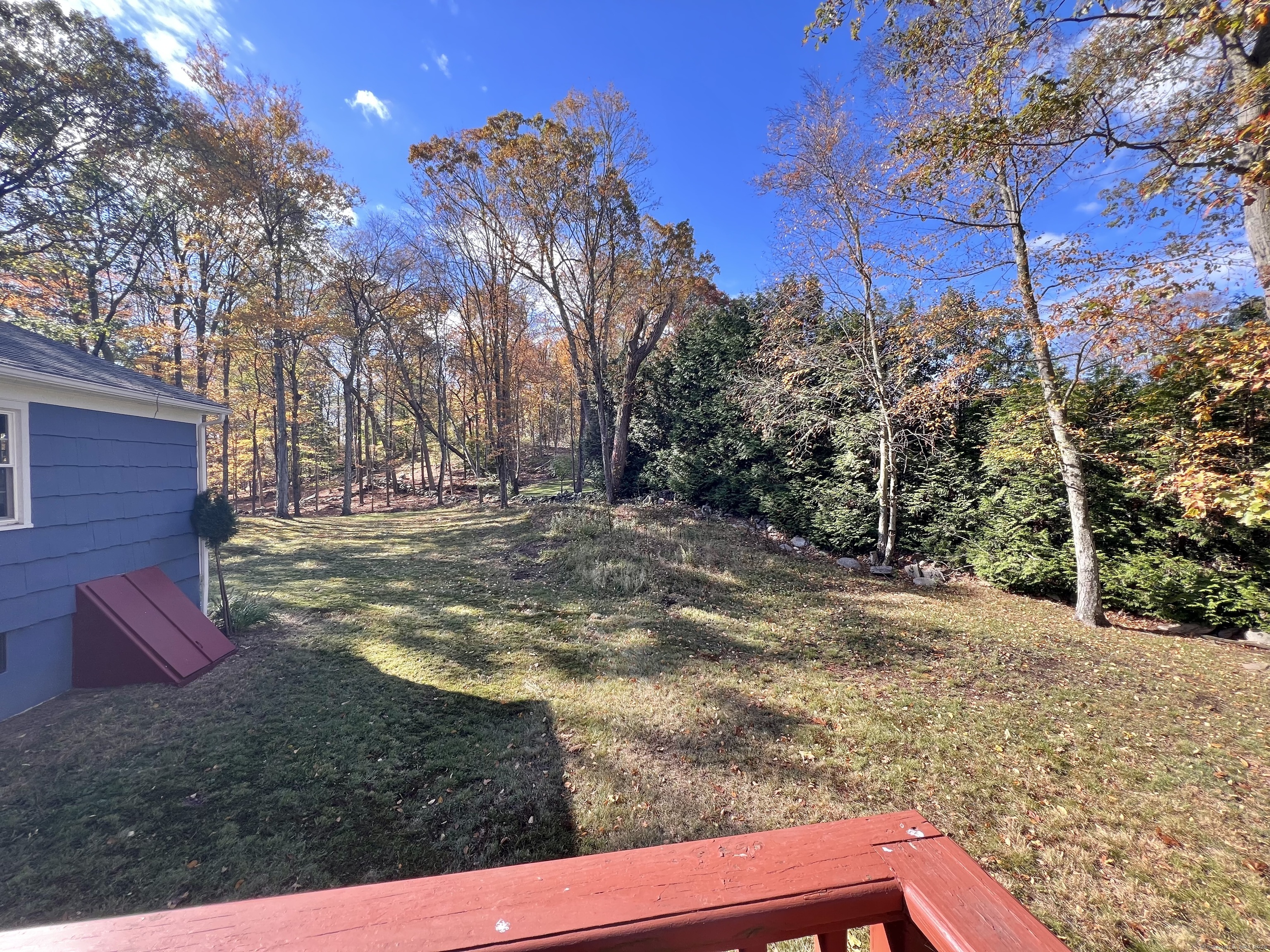 56 Partrick Road Westport, CT 06880 - Photo 14 of 21 a view of a yard with an trees