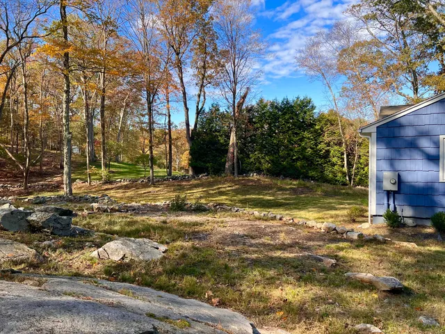 a view of a large tree with lawn chairs under a large tree