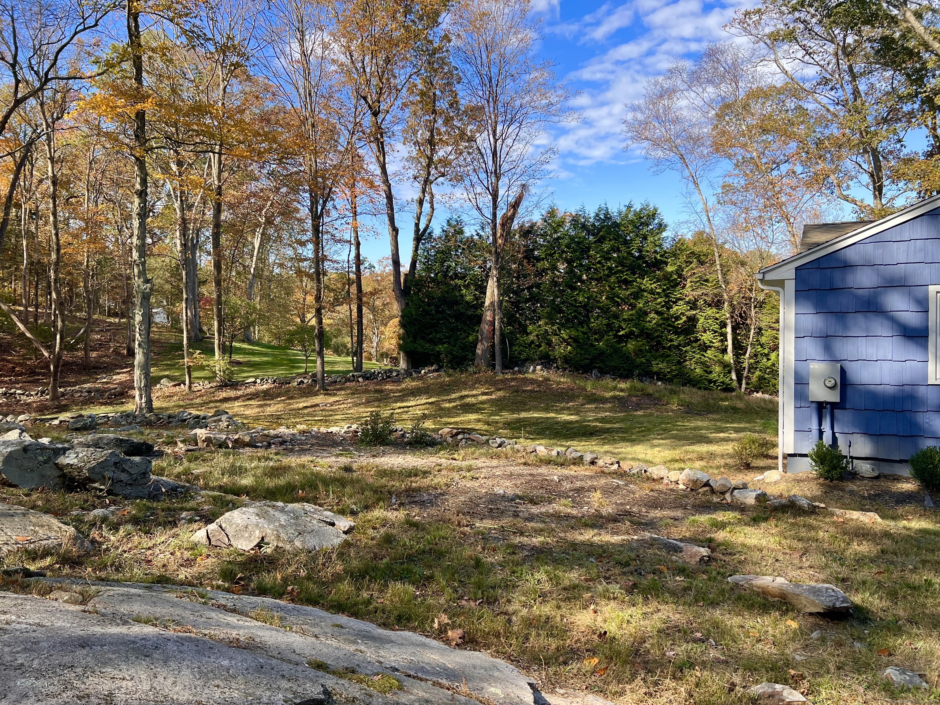 56 Partrick Road Westport, CT 06880 - Photo 18 of 21 a view of a large tree with lawn chairs under a large tree