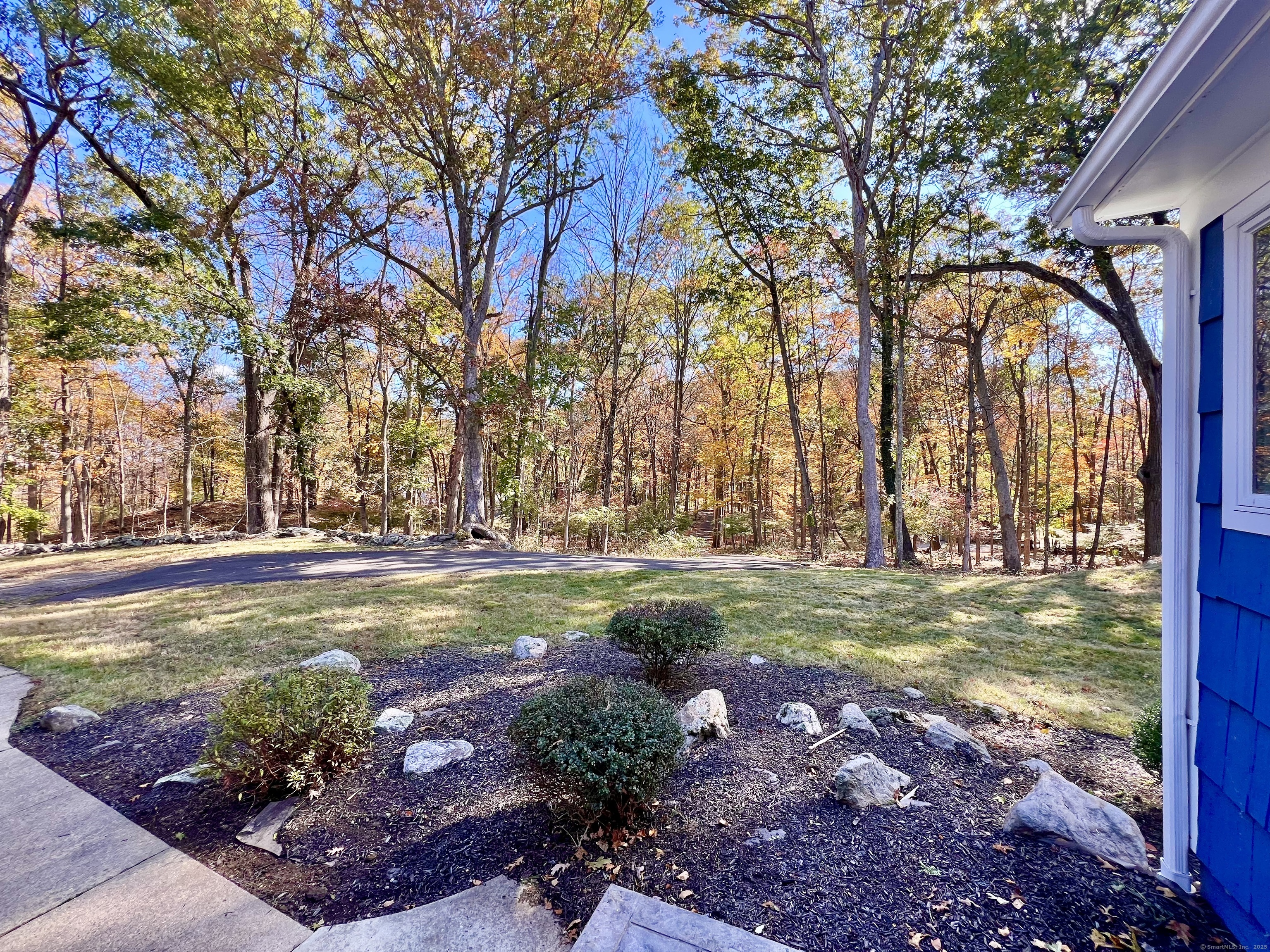 56 Partrick Road Westport, CT 06880 - Photo 19 of 21 a view of a yard with swimming pool
