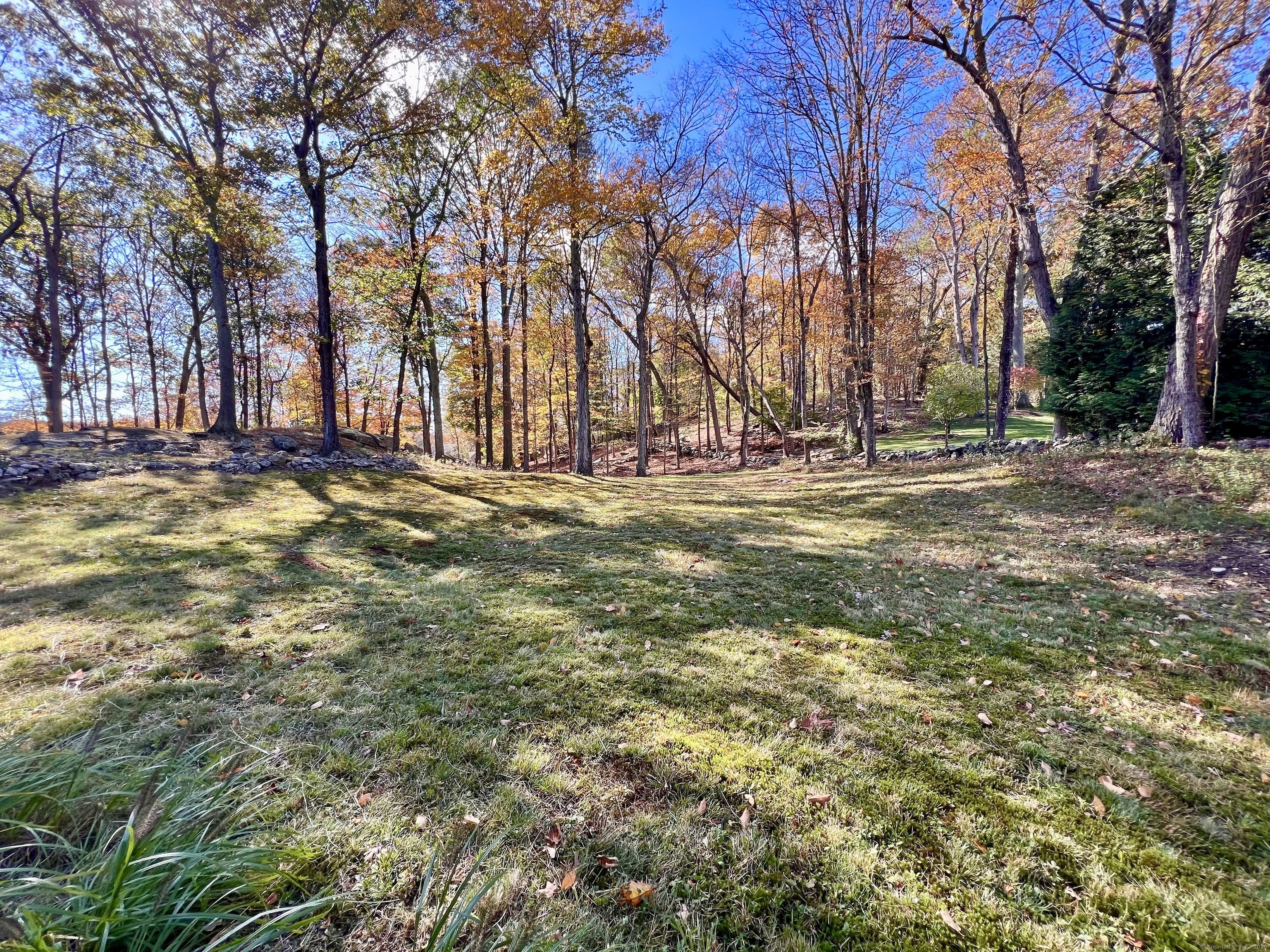 56 Partrick Road Westport, CT 06880 - Photo 20 of 21 a view of a field with a tree