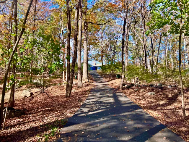 a view of a yard with plants and trees
