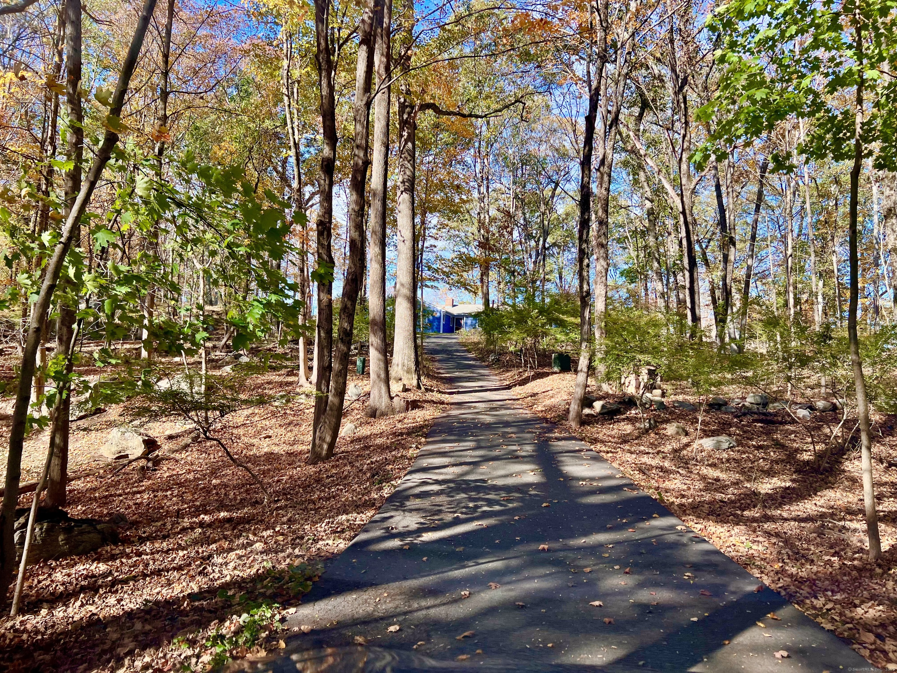 56 Partrick Road Westport, CT 06880 - Photo 5 of 21 a view of a yard with plants and trees