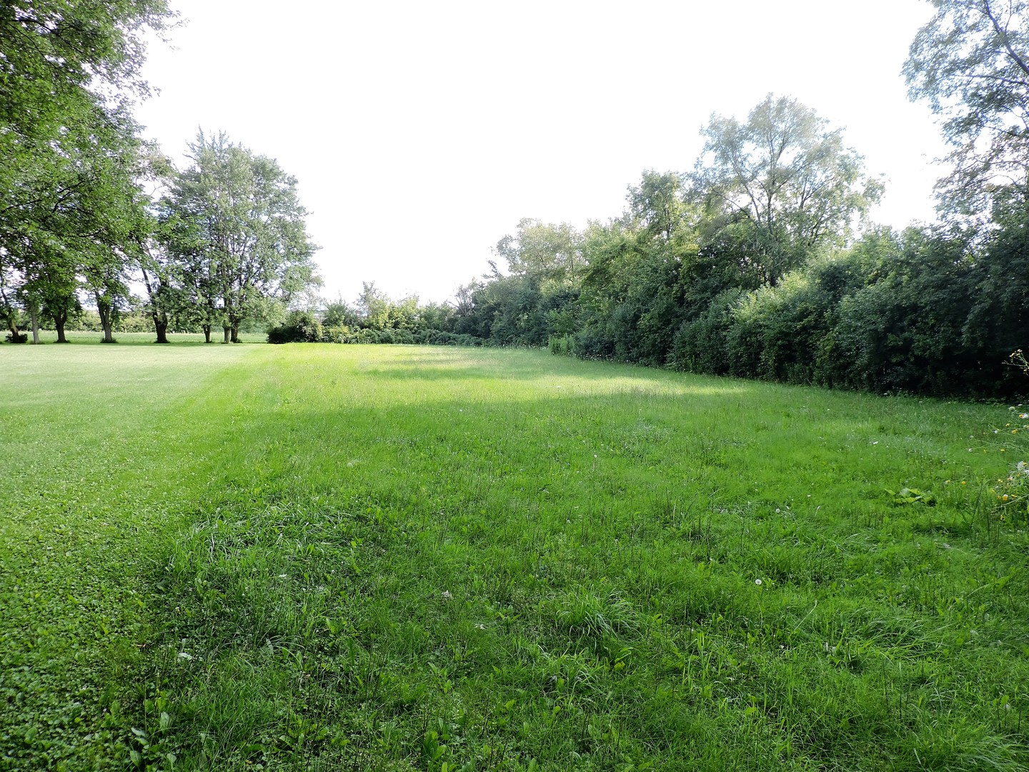 30W663 Sunrise Road Aurora, IL 60502 - Photo 1 of 4