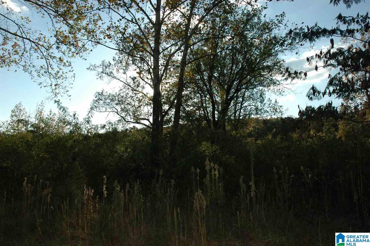 4100 Center Point Road Pinson, AL 35126 - Photo 1 of 5