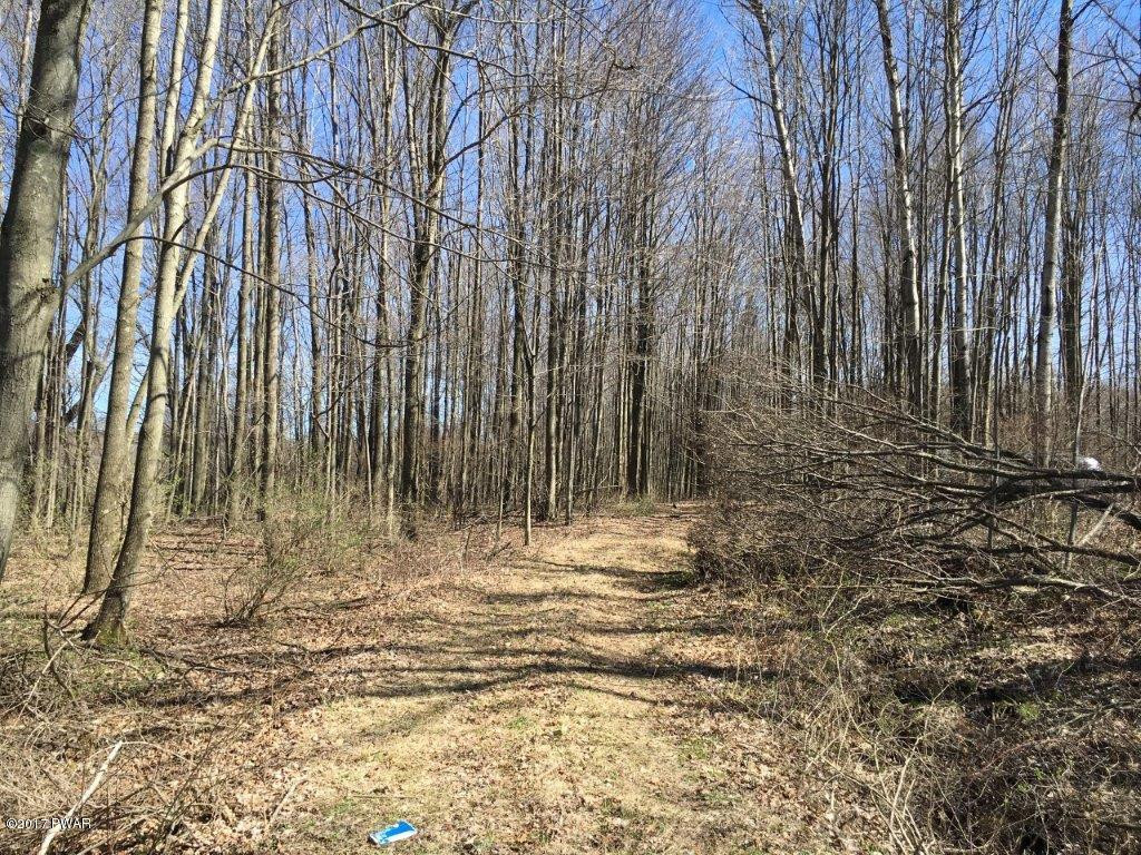 Lot L5 Sickler Pond Road Carbondale, PA 18407 - Photo 3 of 5