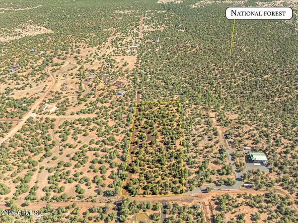 a bathroom with a shower curtain
