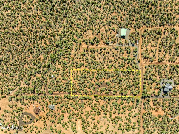 a bathroom with a shower curtain
