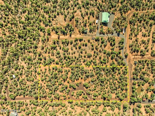a bathroom with a shower curtain