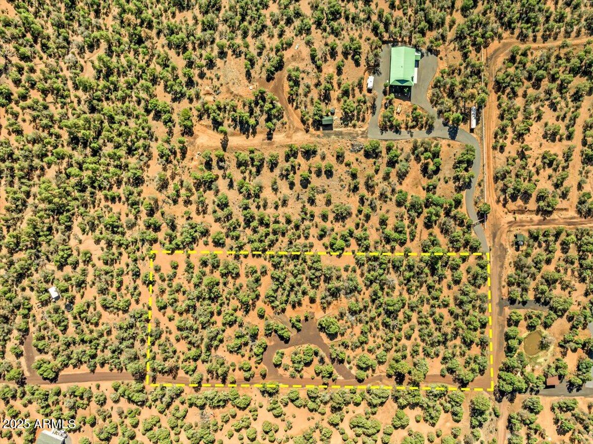 1853 Woolford Road Show Low, AZ 85901 - Photo 19 of 29 a bathroom with a shower curtain