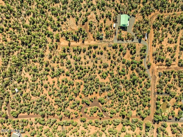 a view of empty space with large trees