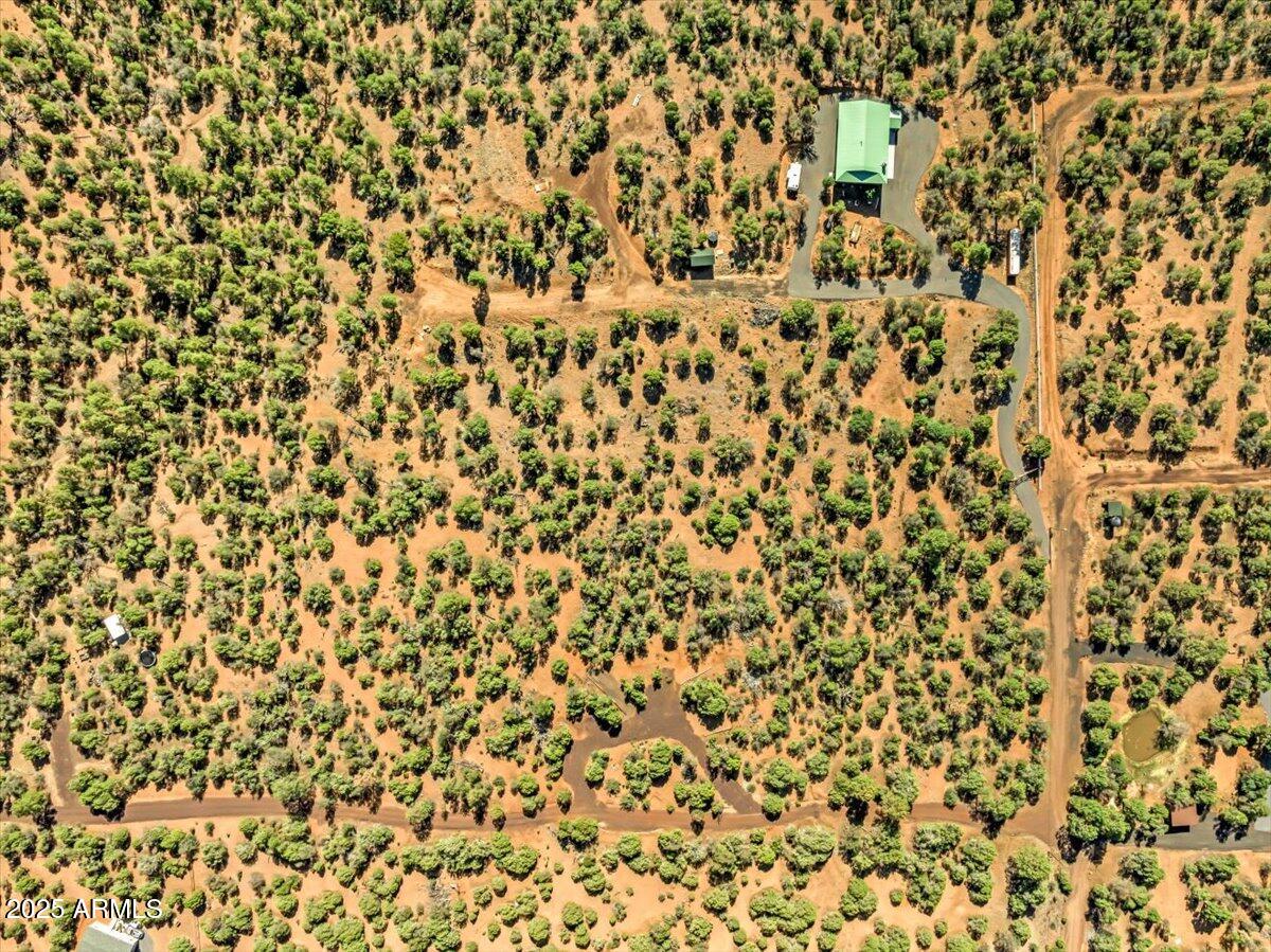 1853 Woolford Road Show Low, AZ 85901 - Photo 20 of 29 a bathroom with a shower curtain