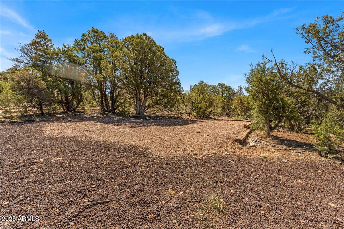 1853 Woolford Road Show Low, AZ 85901 - Photo 26 of 29 a view of dirt yard with a tree