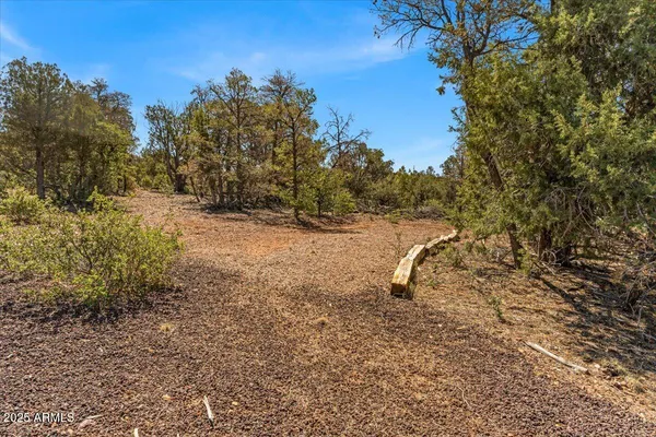 a view of outdoor space with trees all around