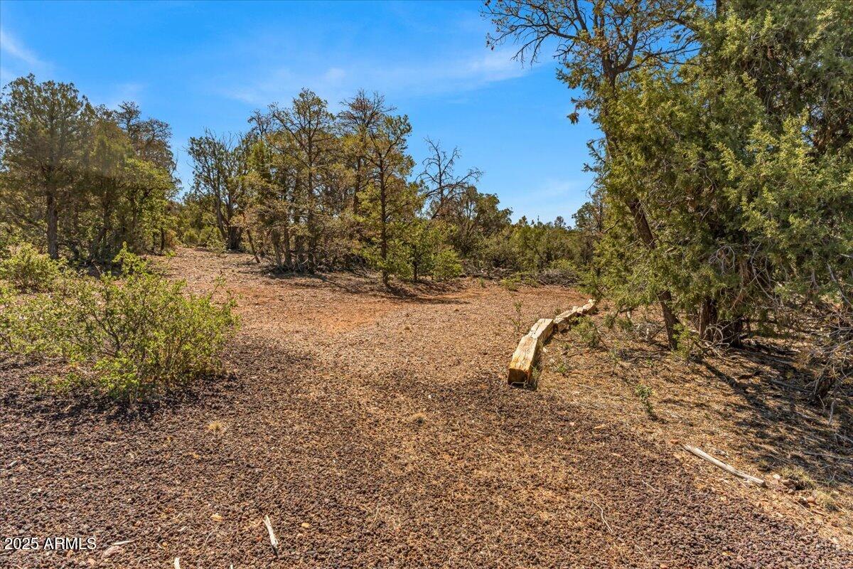 1853 Woolford Road Show Low, AZ 85901 - Photo 27 of 29 a view of a yard with a tree