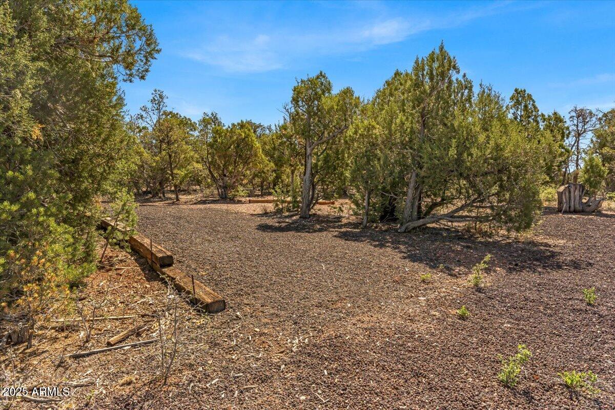 1853 Woolford Road Show Low, AZ 85901 - Photo 28 of 29 a view of outdoor space with trees all around