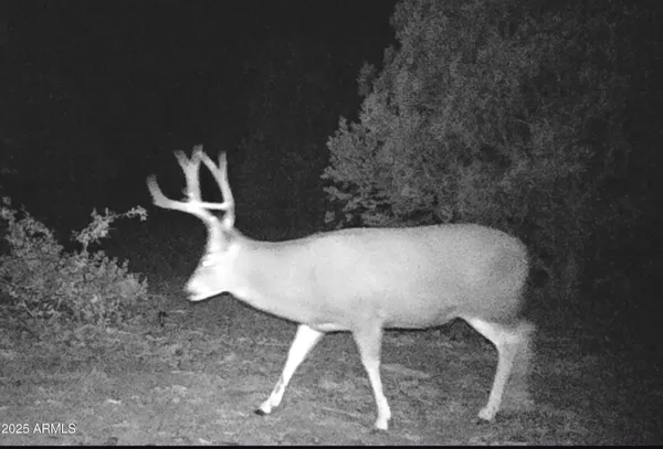 $169,900 | 1853 Woolford Road, Show Low, AZ 85901