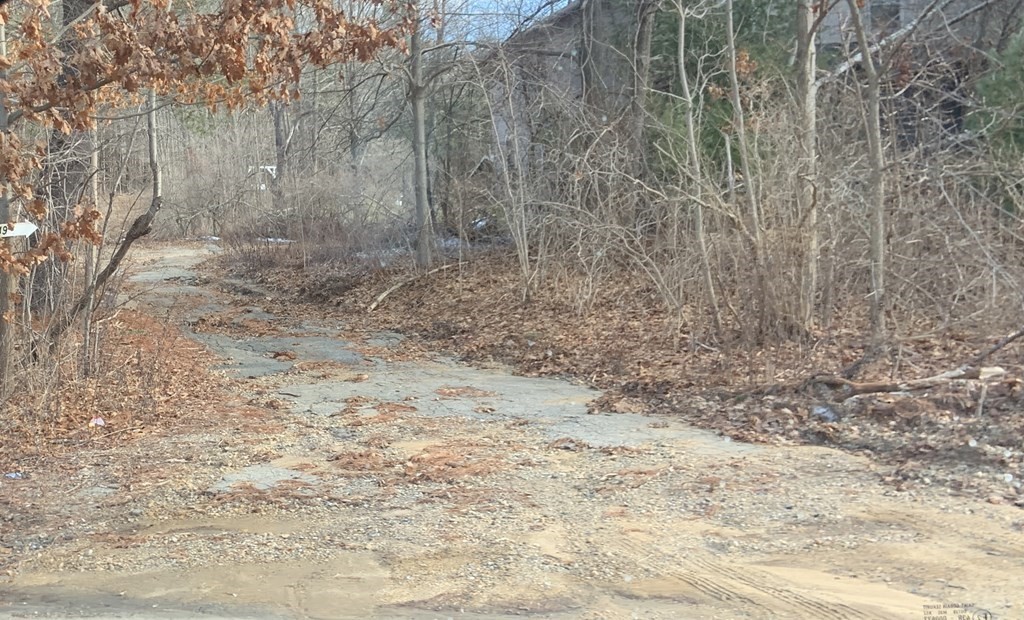 0 Southbridge Road Charlton, MA 01507 - Photo 5 of 7 a view of a dry yard with trees