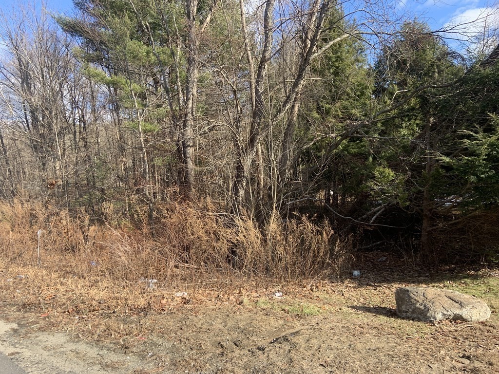 0 Southbridge Road Charlton, MA 01507 - Photo 6 of 7 a view of a yard with trees