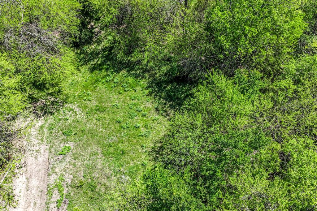 0 Fm 1497 Paris, TX 75462 - Photo 11 of 29 a view of a lush green forest
