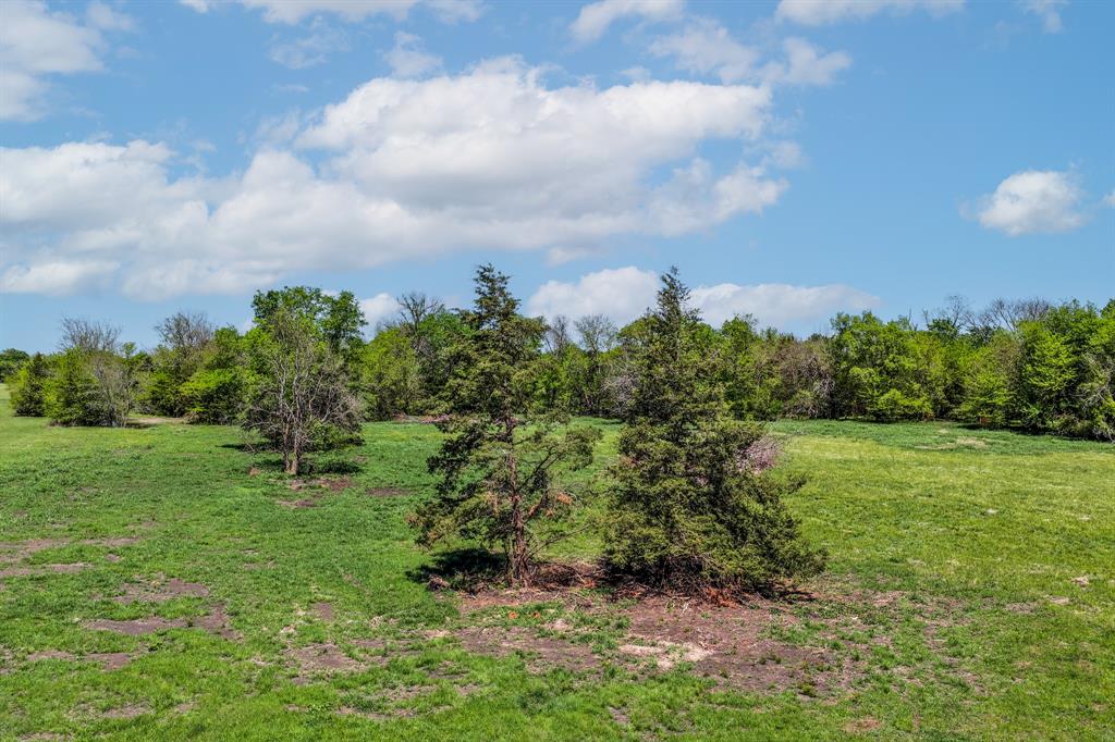 0 Fm 1497 Paris, TX 75462 - Photo 17 of 29 a big yard with lots of green space