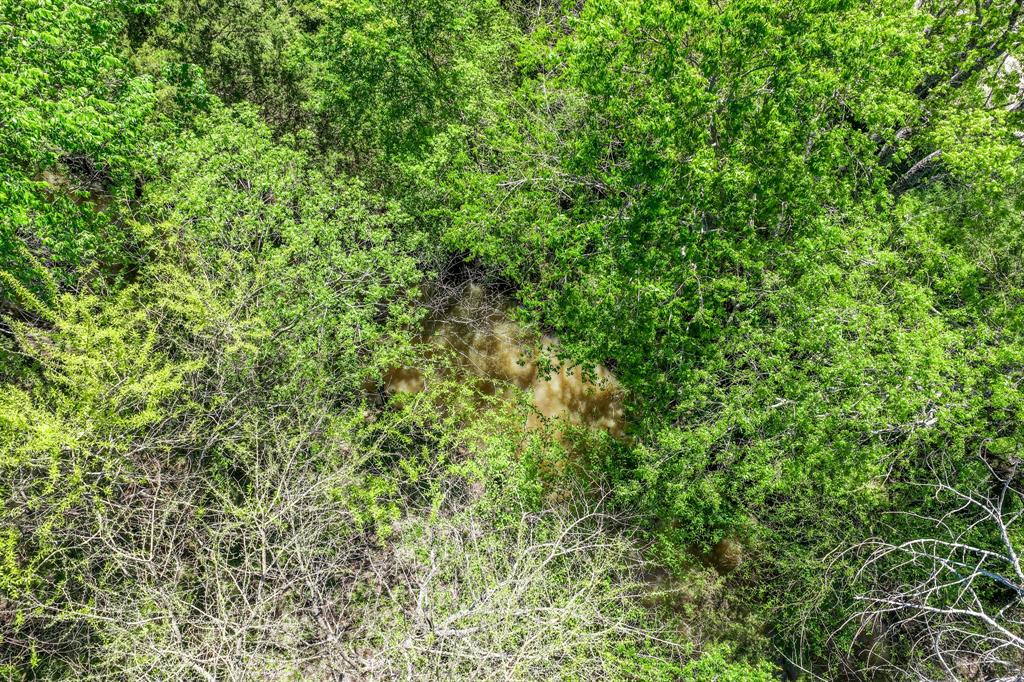 0 Fm 1497 Paris, TX 75462 - Photo 27 of 29 a view of a lush green forest