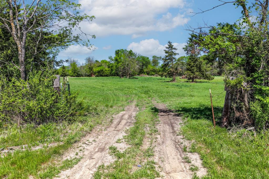 0 Fm 1497 Paris, TX 75462 - Photo 29 of 29 a view of a yard with large trees